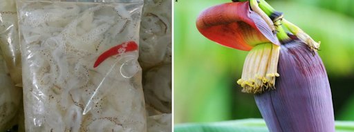 3 cach lam goi sua ngon gion san sat tai nha don gian - 11