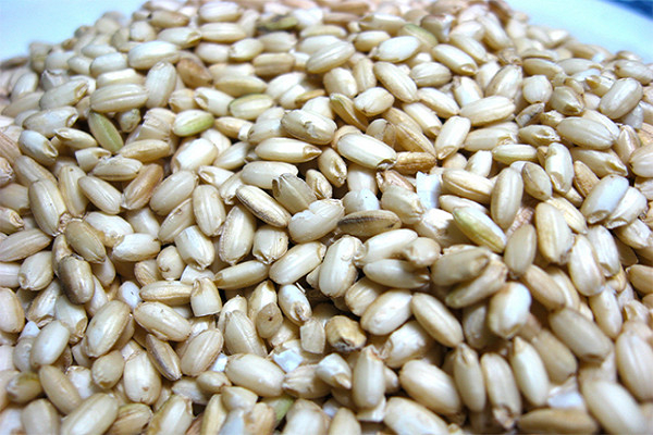 14_20191016003520 voh.com.vn-cach-lam-com-ruou-ngon-anh-13