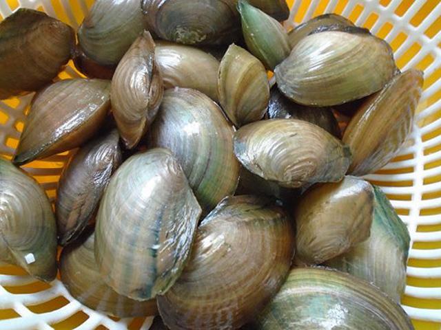 2_20191001132044 voh.com.vn-cach-nau-chao-trai-ngon-anh-1