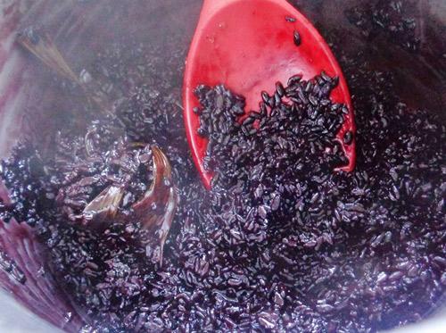 cachlamsuachuanepcam4_20191015215627 voh.com.vn-cach-lam-sua-chua-nep-cam-anh-3