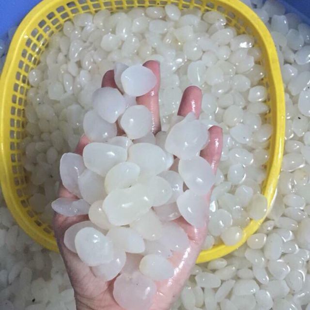 cachrimhatdac14_20191015223916 voh.com.vn-cach-lam-hat-dac-rim-anh-13