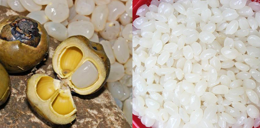 cachrimhatdac1_20191015222553 voh.com.vn-cach-lam-hat-dac-rim-anh-0