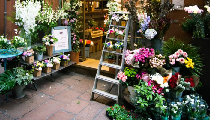 Đi dạo để thấy cuộc sống ngọt ngào biết bao