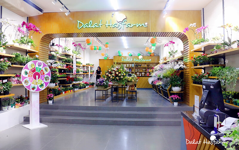 shop-dalat-hasfarm-1 Shop hoa tươi giá rẻ TPHCM mà bạn nên chọn