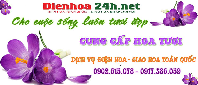 Xem phim hạ cánh nơi anh - Chia Sẻ Thông Tin Miễn Phí