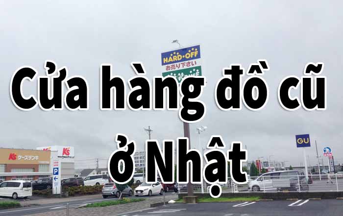 Chia Sẻ Thông Tin Miễn Phí