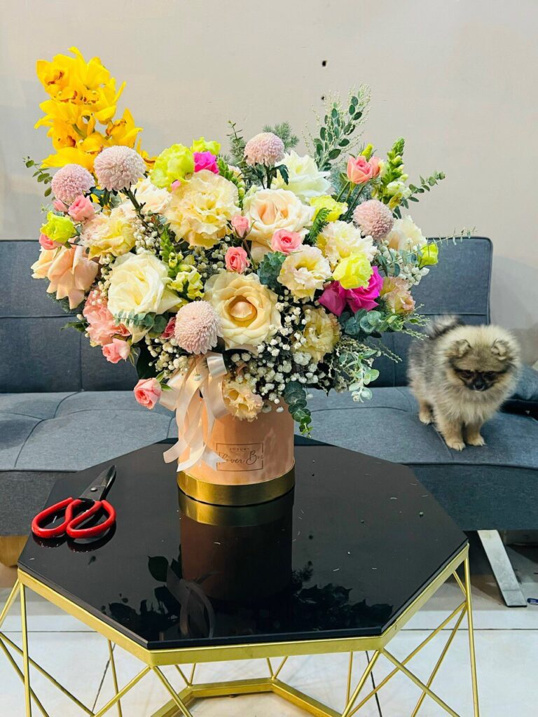 Chia Sẻ Thông Tin Miễn Phí