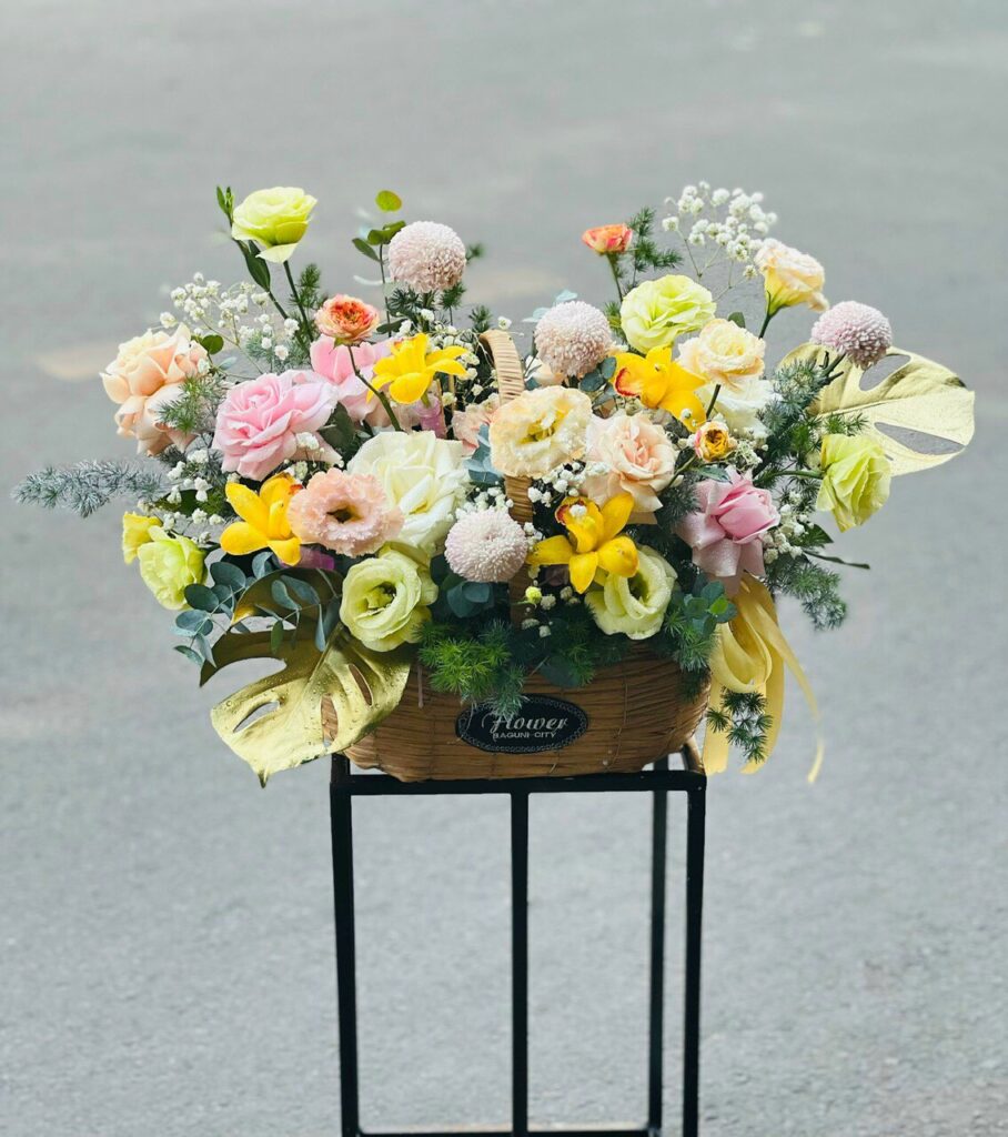 Chia Sẻ Thông Tin Miễn Phí