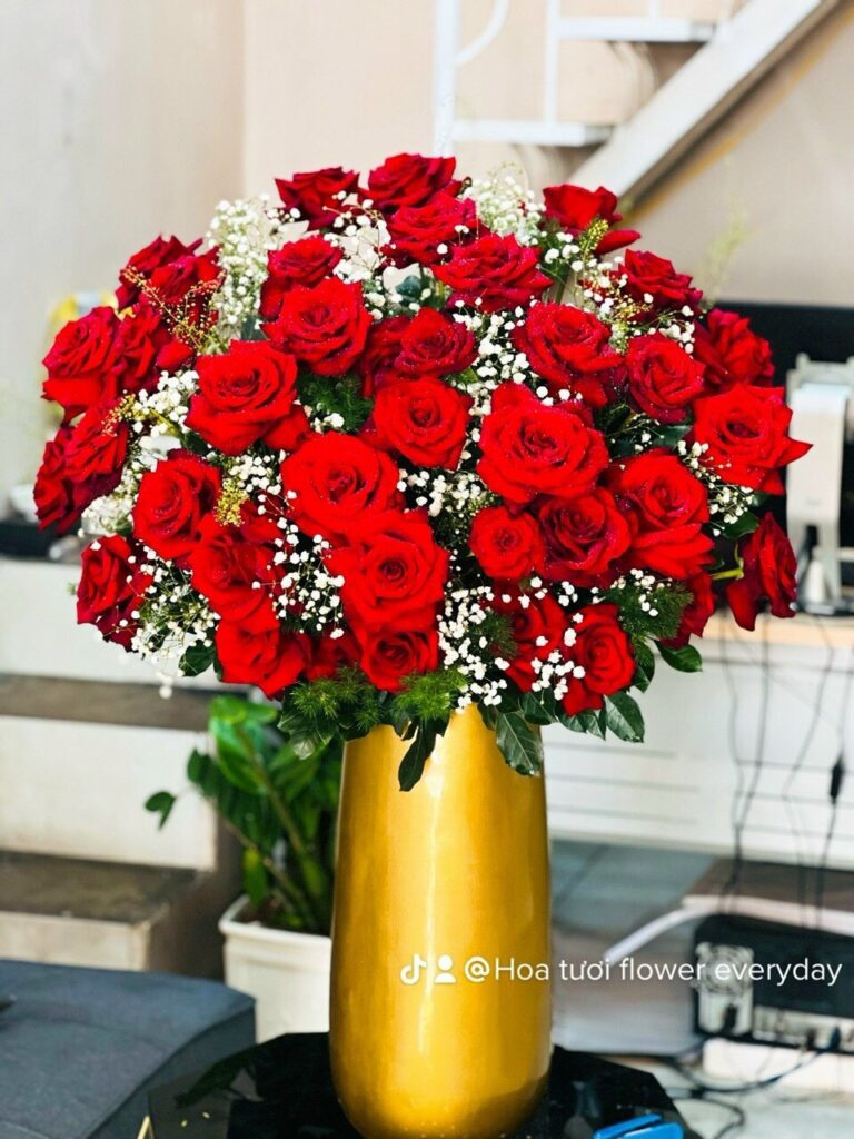 Chia Sẻ Thông Tin Miễn Phí