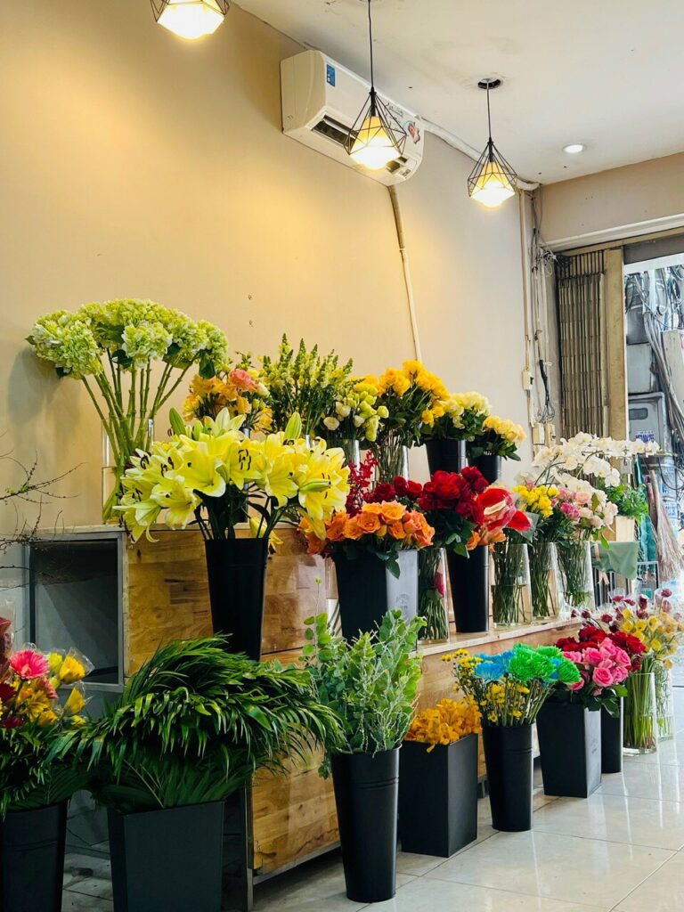 Chia Sẻ Thông Tin Miễn Phí