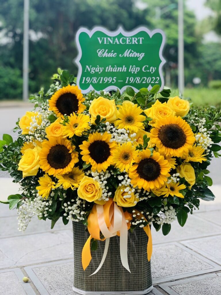 Chia Sẻ Thông Tin Miễn Phí