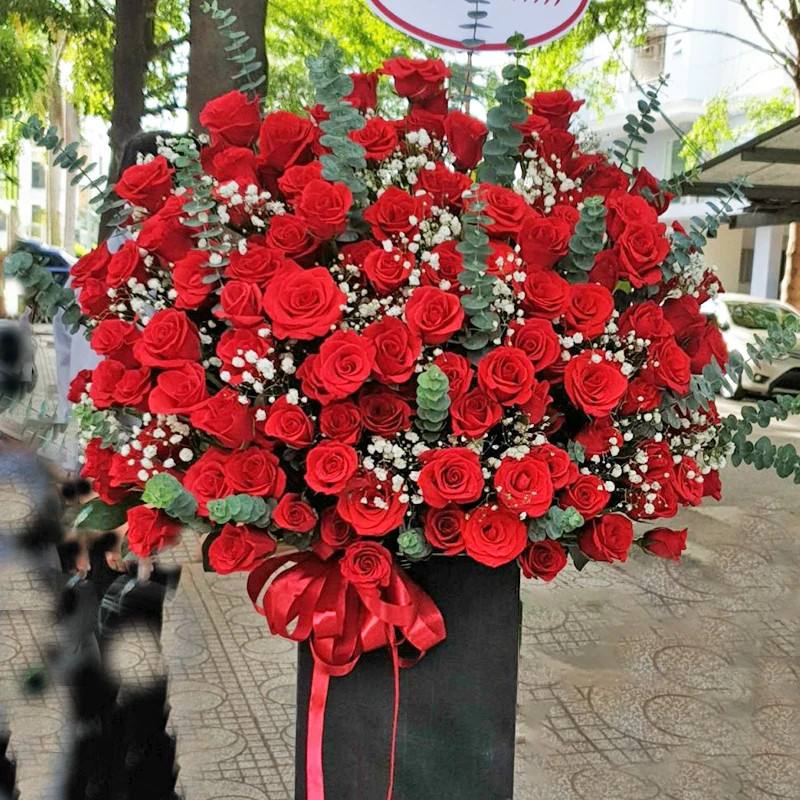 Chia Sẻ Thông Tin Miễn Phí