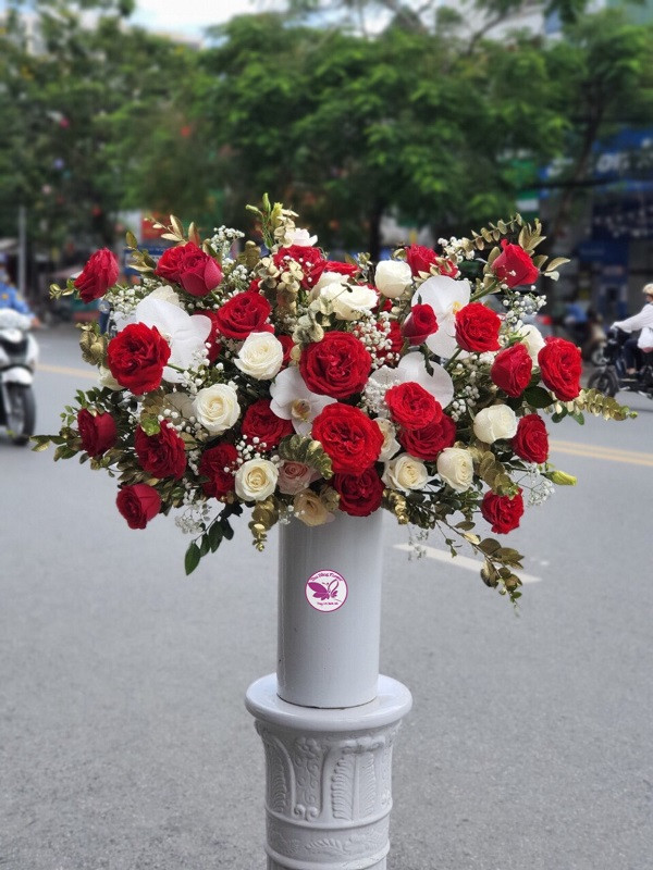 Chia Sẻ Thông Tin Miễn Phí