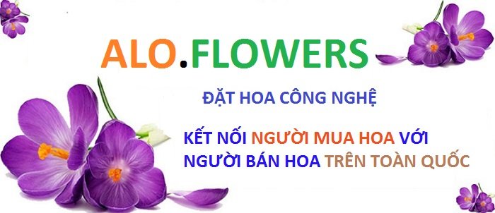 Tai Nạn Giao Thông Bình Định