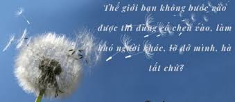 Triết Lý Cuộc Sống Về Gia Đình