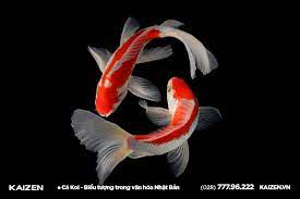 Chia Sẻ Thông Tin Miễn Phí