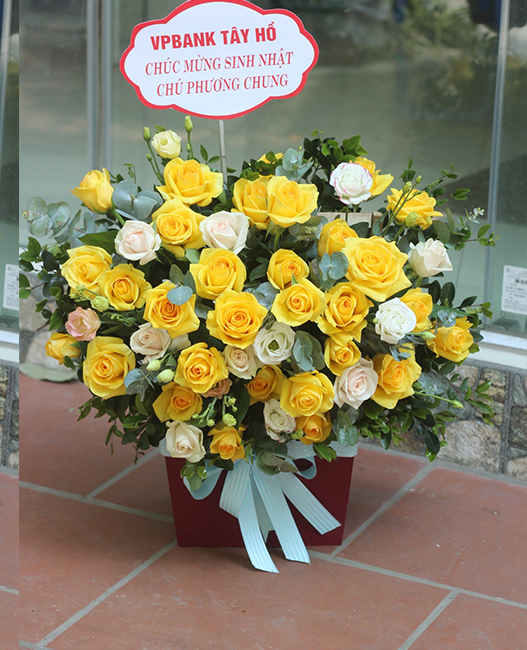Chia Sẻ Thông Tin Miễn Phí