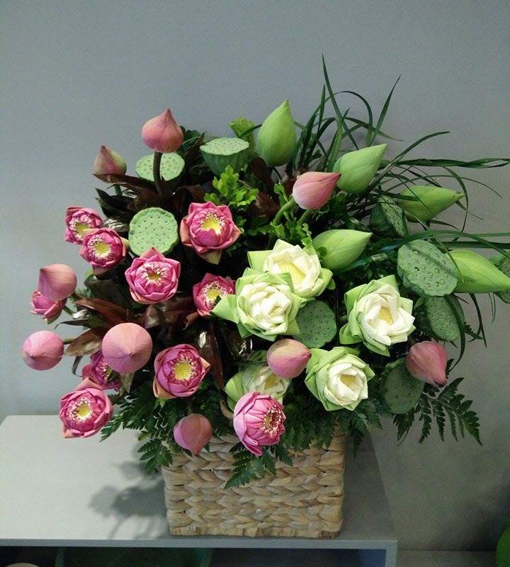 Chia Sẻ Thông Tin Miễn Phí
