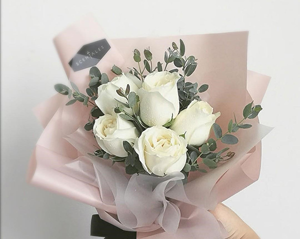 Chia Sẻ Thông Tin Miễn Phí